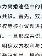 感情挽回_挽回感情复合的最佳方法_挽回感情复合的小作文