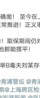 航空公司高管重婚案_调查重婚_ 跨境财产转移诉讼